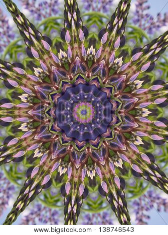 Seamless kaleidoscope texture with the flower lupin