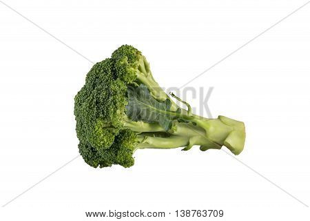 broccoli on white backgroud  isolated clipping path