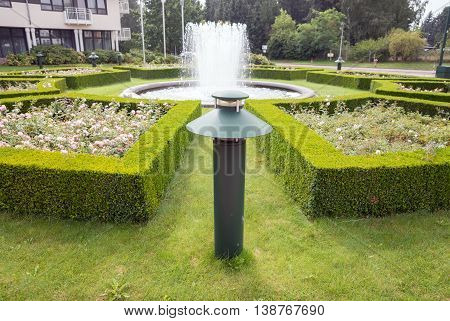 evergreen boxwood (Buxus sempervirens) hedge adorn a rose garden