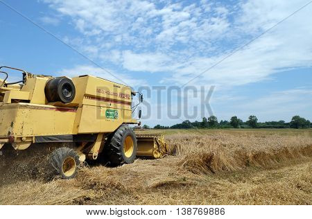 TRNOVEC, CROATIA - JULY 09, 2016: Combine harvester harvest ripe wheat on a farm in Trnovec, Croatia on July 09, 2016
