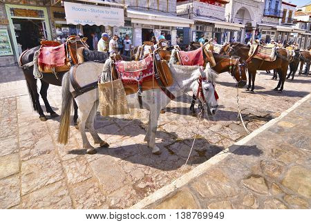 HYDRA ISLAND GREECE, MAY 27 2016: donkeys the means of transport at Hydra island Saronic Gulf Greece. Editorial use.