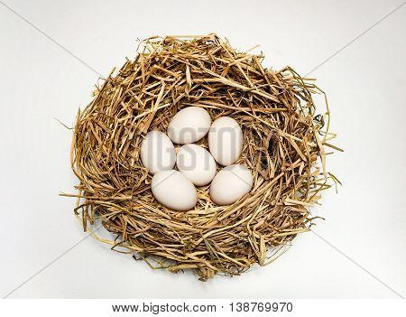 Six duck eggs in the hay nest on white background.