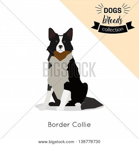 Dog breed flat icon isolated on white background. Vector eps 10 format.