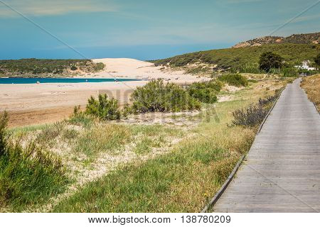 Sand dune of Bolonia beach province Cadiz Andalucia Spain