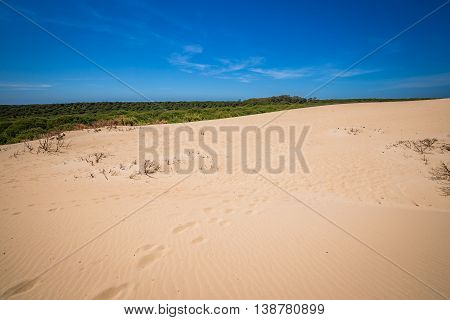 Sand dune of Bolonia beach province Cadiz Andalucia Spain