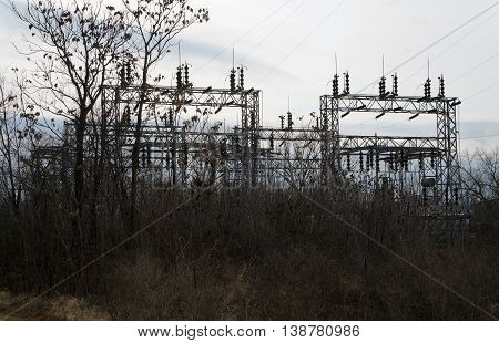 A switchyard, seen behind dried plants during the autumn in Joliet, Illinois.