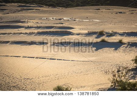 Wooden fences on deserted beach dunes in Tarifa Spain