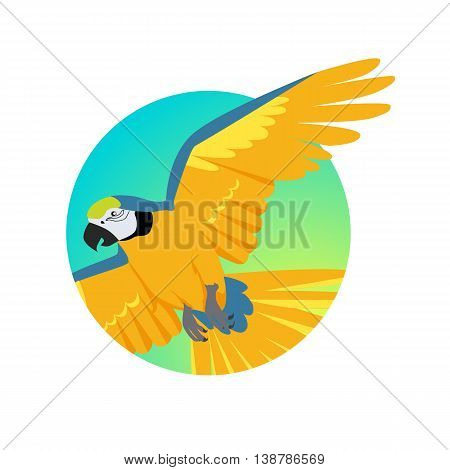Ara parrot vector. Birds of Amazonian forests in flat design illustration. Fauna of South America. Flying colorful Ara parrot for icons, posters, childrens books illustrating. Isolated on white.