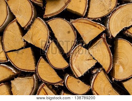 freshly cut logs stacked neatly young birch