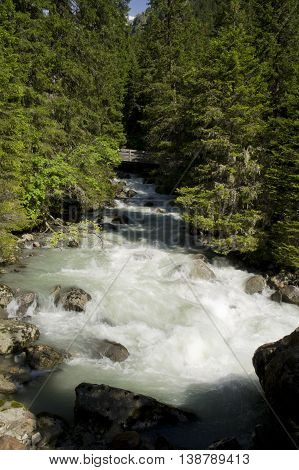 view of a creek in stubaital in austria