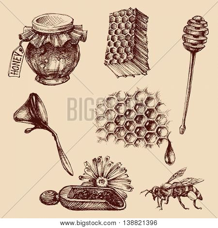Honey and apiculture set. Bee vector icons collection