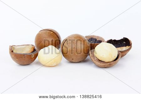 Macadamia nuts Or nuts (Equipment in the shell.) has a reputation as beans are delicious, but high prices have been popular in the processed or used as an ingredient in various dishes.