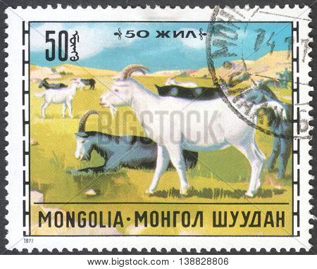 MOSCOW RUSSIA - JANUARY 2016: a post stamp printed in MONGOLIA shows a goat the series "Livestock Breeding" circa 1971