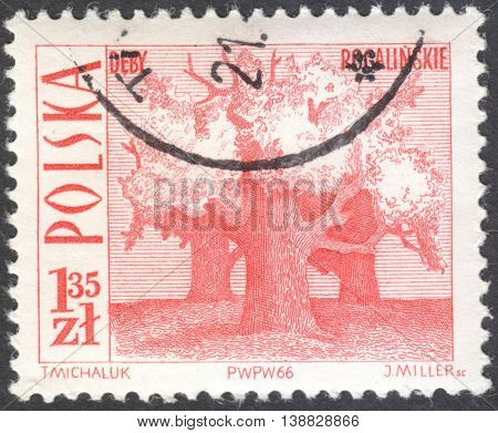 MOSCOW RUSSIA - CIRCA JANUARY 2016: a post stamp printed in POLAND shows Old oaks Rogalin the series 