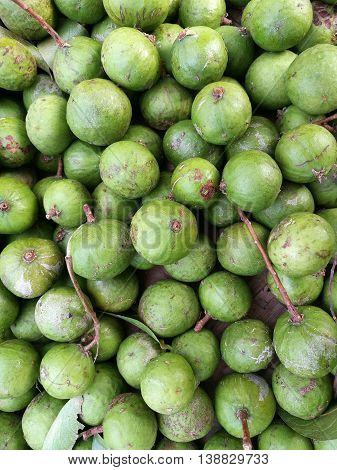 Close up of green and fresh Asian tropical fruit dracontomelon duperreanum