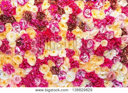 Decoratory flowers