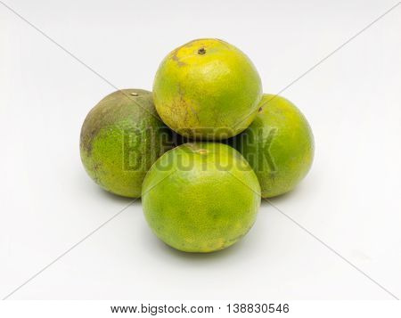 Four fresh green oranges on white background.