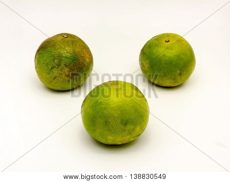 Four fresh green oranges on white background.