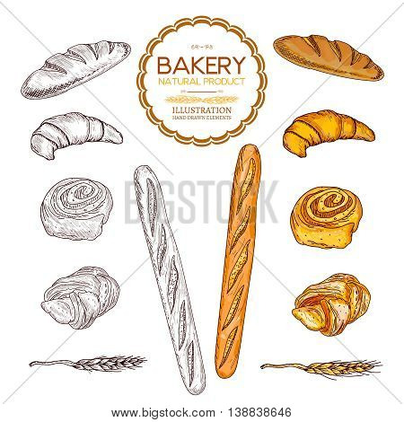 Baking collection baguettes bread and rolls collection hand drawn vector
