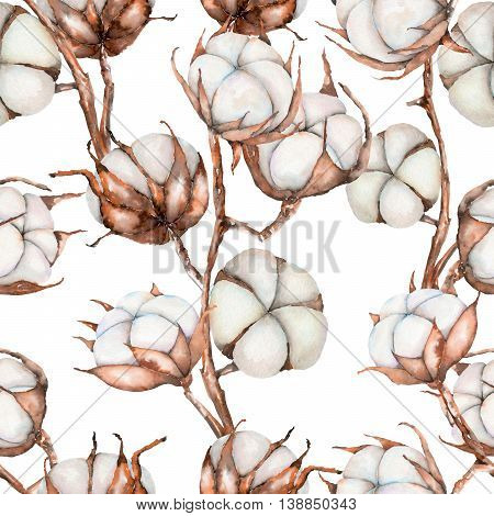 Seamless pattern of watercolor cotton flowers branches, hand drawn isolated on a white background