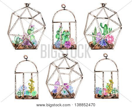 Collection of florariums with watercolor succulents and cuctuses inside, hand drawn isolated on a white background