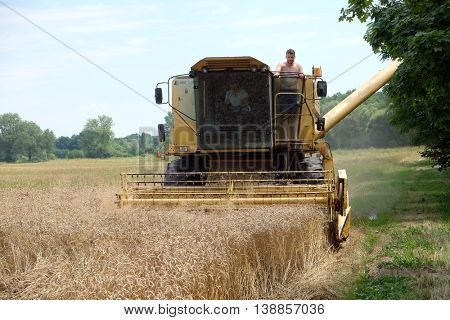 TRNOVEC, CROATIA - JULY 09, 2016: Combine harvester harvest ripe wheat on a farm in Trnovec, Croatia on July 09, 2016