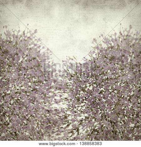 Textured Old Paper Background