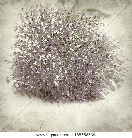 Textured Old Paper Background