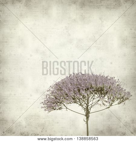 Textured Old Paper Background