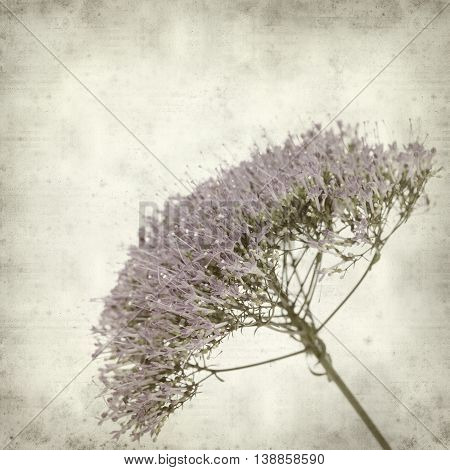 Textured Old Paper Background
