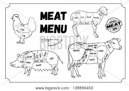 Meat menu. Set of meat symbols, beef, pork, chicken, lamb. Hand drawn vector stock illustration. Black and white whiteboard drawing.