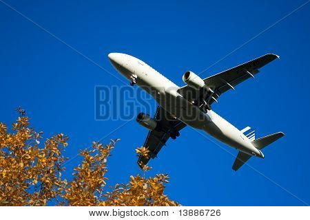 Fly med buske