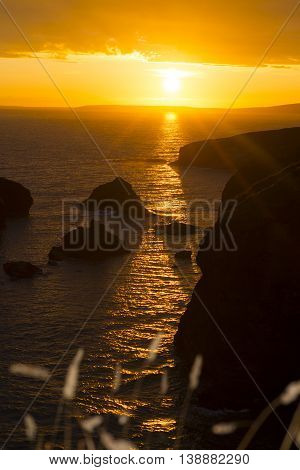 beautiful sunset over the coastal rocks with wild highl grass on the wild atlantic way