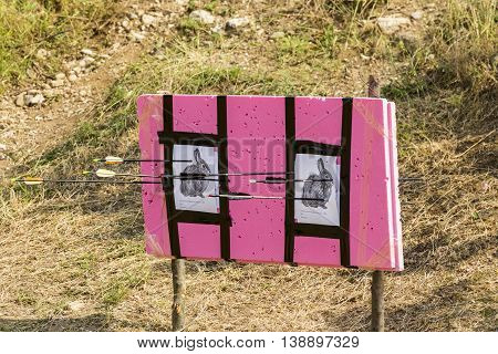 Bow And Arrow Shooting Contest