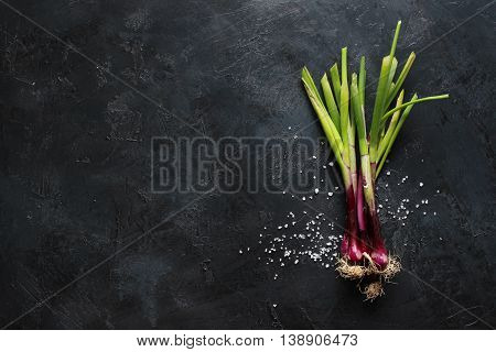 purple spring onions on dark table background