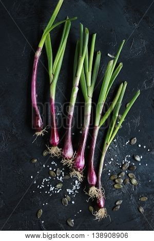purple spring onions on dark table background