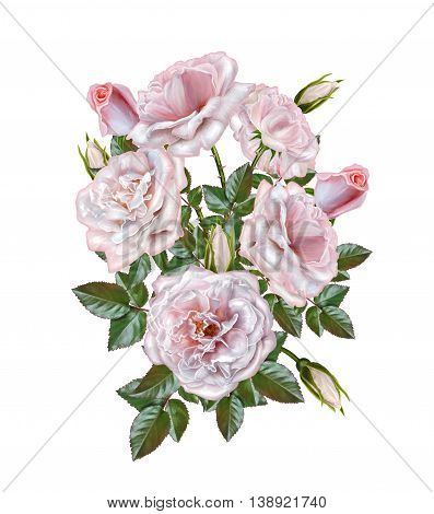 Flower composition. Bouquet of pink roses of pink roses. Old style. Isolated. Vintage postcard.