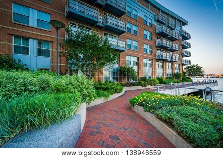 Flowers And The Boston Harborwalk At Battery Wharf, In The North End, Boston, Massachusetts.
