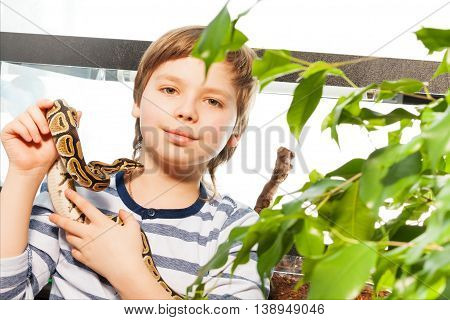 Young boy holding his lovely pet snake - Royal or Ball Python, standing against big reptile house