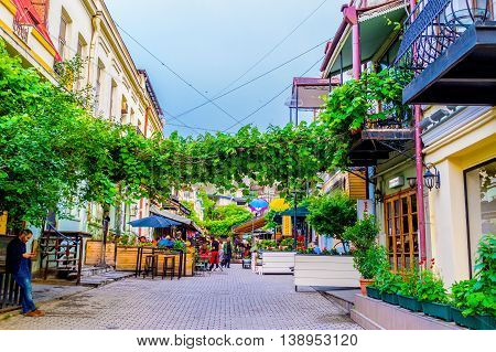 TBILISI GEORGIA - MAY 28 2016: The cozy street full of cafes and bars decorated with the wild vines stretching across the path on May 28 in Tbilisi.