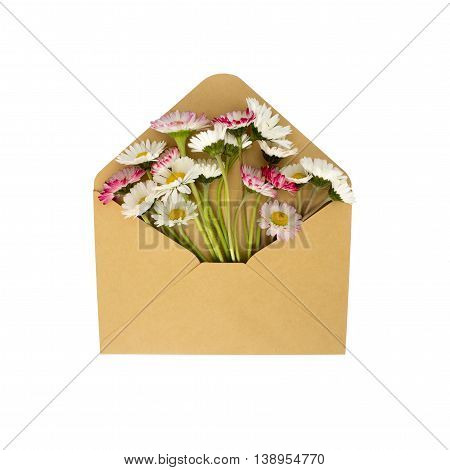 flowers in the envelope isolated on a white background