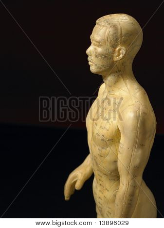 침술 입상에 자오선 선