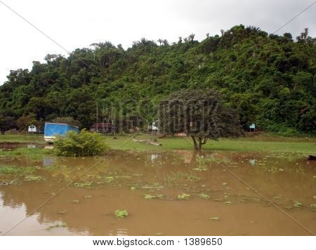 Hluboká Amazon1