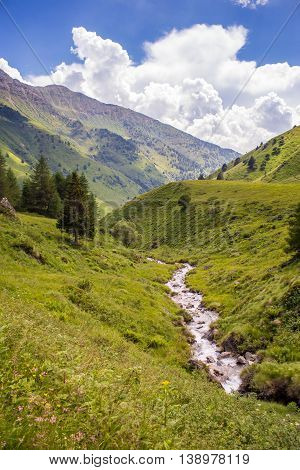 Alps Mountain Meadow Tranquil Summer View (ponte Di Legno - Italy)