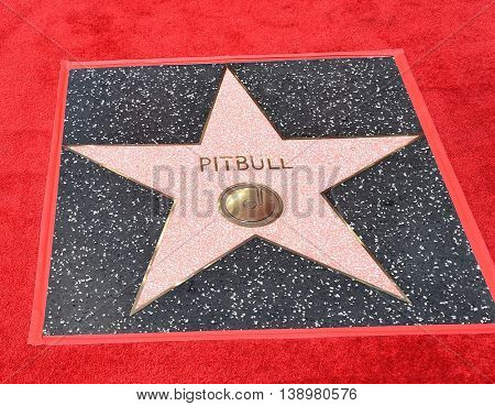 LOS ANGELES - JUL 15:  Pitbull aka Armando Christian Perez arrives to the Walk of Fame honors Pitbull on July 15, 2016 in Hollywood, CA                