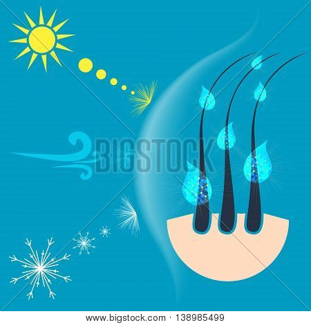 Vector illustration of hair follicles protected by a shield from the sun wind and snow. Hair protection concept.