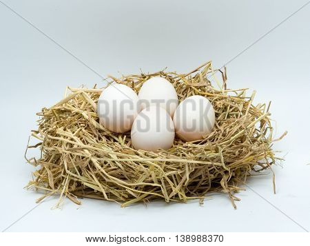 Four duck eggs in the hay nest on white background.