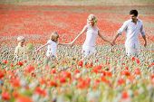 Familia paseando por el campo de amapolas