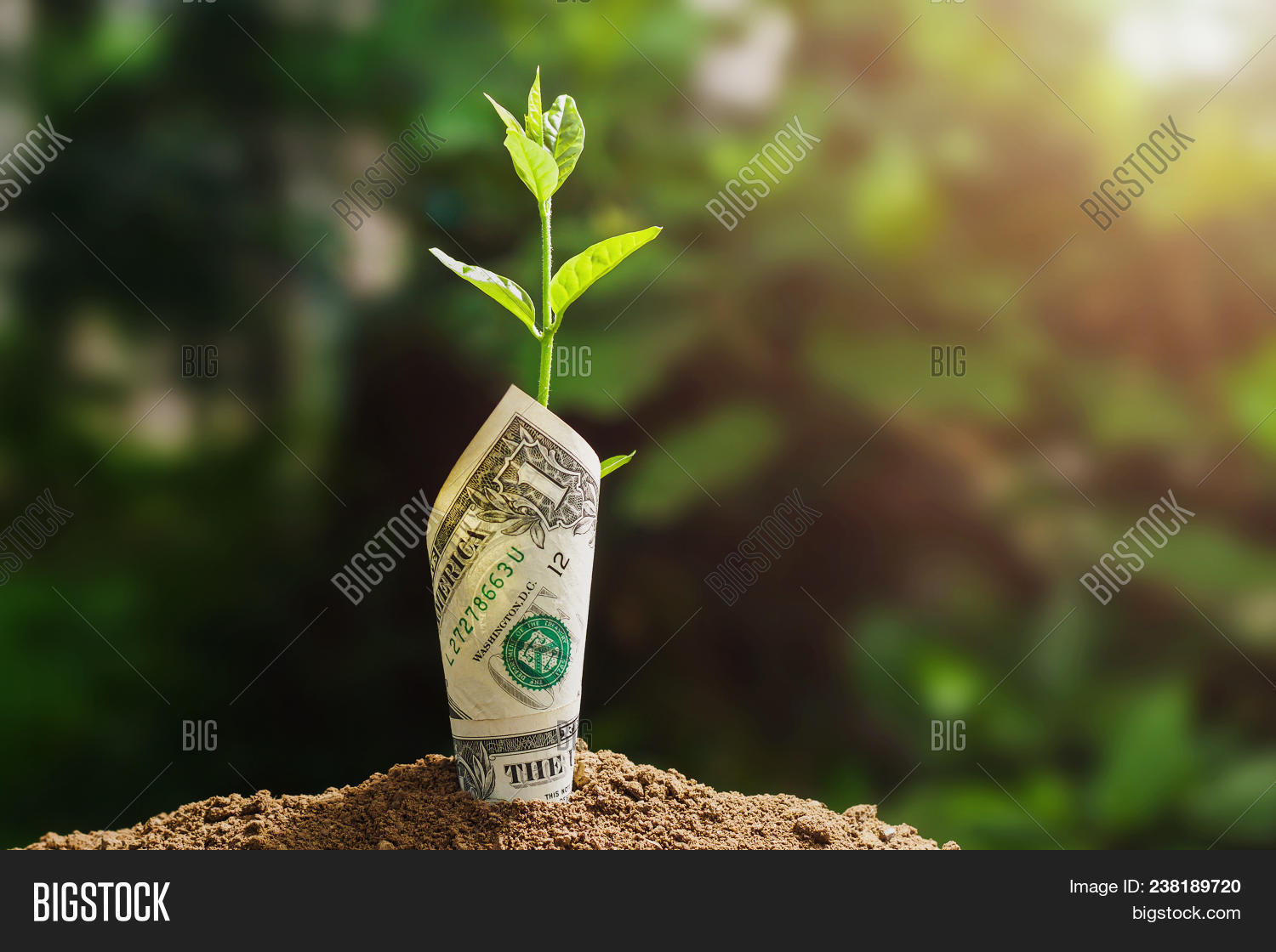 Plant Growing Bank Image & Photo (Free Trial) Bigstock