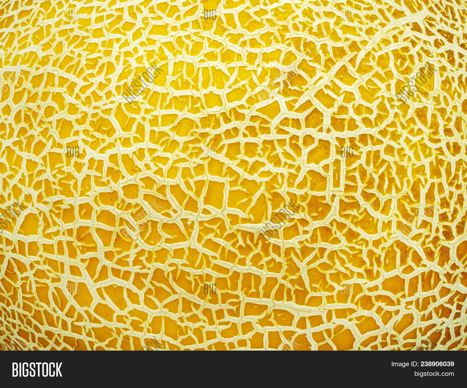 Melon Skin Texture Image & Photo (Free Trial) Bigstock